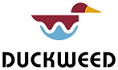 Duckweed Spices
